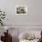 Courtyard with Maltese Balcony and Trees-Eleanor Scriven-Framed Photographic Print displayed on a wall