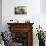 Courtyard with Maltese Balcony and Trees-Eleanor Scriven-Photographic Print displayed on a wall