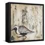 Couture Sandy Shore I-Tiffany Hakimipour-Framed Stretched Canvas