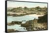 Cove at La Jolla, San Diego, California-null-Framed Stretched Canvas