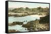 Cove at La Jolla, San Diego, California-null-Framed Stretched Canvas