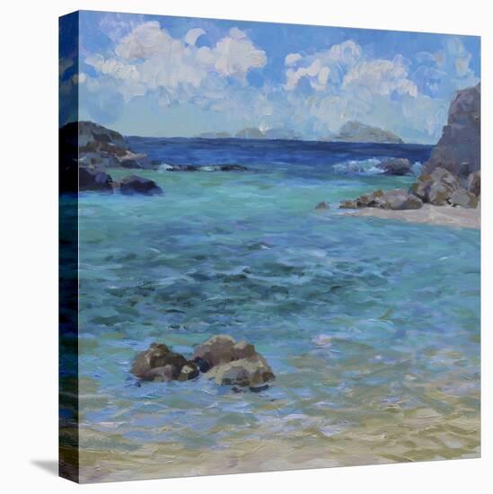 Cove-Julian Askins-Stretched Canvas