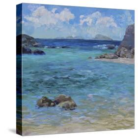 Cove-Julian Askins-Stretched Canvas