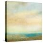 Cove-Suzanne Nicoll-Stretched Canvas