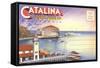 Cover for Catalina Island-null-Framed Stretched Canvas