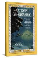 Cover of the April, 1964 National Geographic Magazine-Robert Goodman-Stretched Canvas