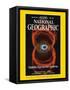 Cover of the April, 1997 National Geographic Magazine-null-Framed Stretched Canvas