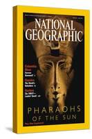 Cover of the April, 2001 National Geographic Magazine-Kenneth Garrett-Stretched Canvas