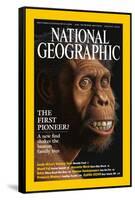 Cover of the August, 2002 National Geographic Magazine-Mauricio Anton-Framed Stretched Canvas