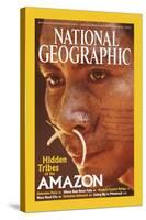 Cover of the August, 2003 National Geographic Magazine-Nicolas Reynard-Stretched Canvas