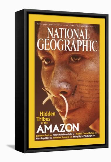 Cover of the August, 2003 National Geographic Magazine-Nicolas Reynard-Framed Stretched Canvas