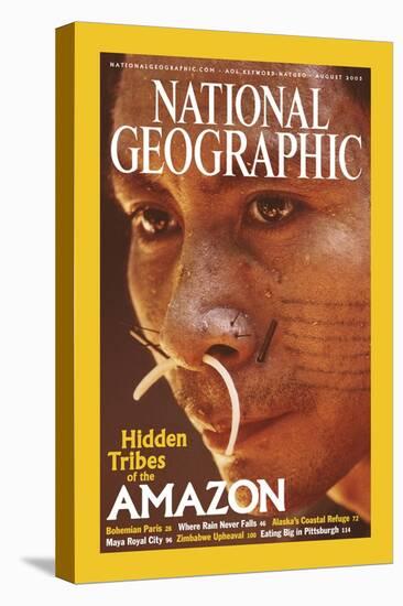 Cover of the August, 2003 National Geographic Magazine-Nicolas Reynard-Stretched Canvas