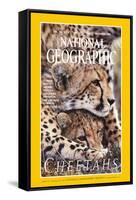 Cover of the December, 1999 National Geographic Magazine-Chris Johns-Framed Stretched Canvas