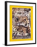 Cover of the December, 1999 National Geographic Magazine-Chris Johns-Framed Premium Photographic Print