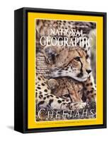 Cover of the December, 1999 National Geographic Magazine-Chris Johns-Framed Stretched Canvas