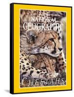 Cover of the December, 1999 National Geographic Magazine-Chris Johns-Framed Stretched Canvas