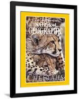 Cover of the December, 1999 National Geographic Magazine-Chris Johns-Framed Photographic Print