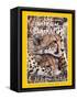 Cover of the December, 1999 National Geographic Magazine-Chris Johns-Framed Stretched Canvas