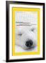 Cover of the December, 2000 National Geographic Magazine-Norbert Rosing-Framed Photographic Print
