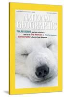 Cover of the December, 2000 National Geographic Magazine-Norbert Rosing-Stretched Canvas