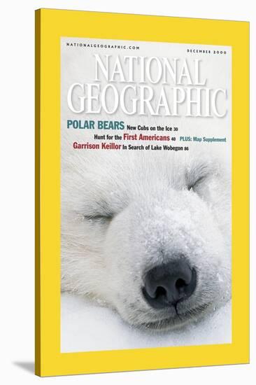 Cover of the December, 2000 National Geographic Magazine-Norbert Rosing-Stretched Canvas