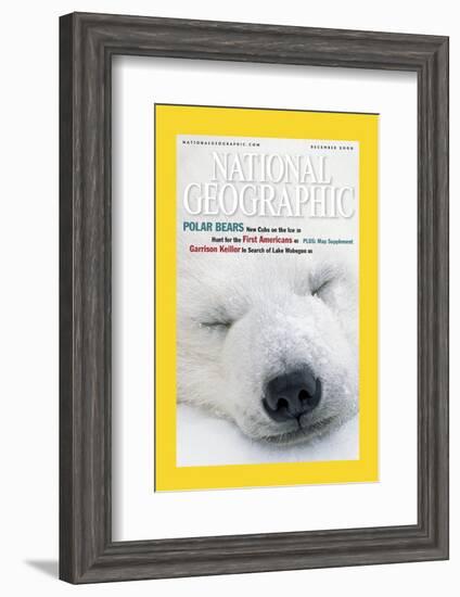 Cover of the December, 2000 National Geographic Magazine-Norbert Rosing-Framed Photographic Print