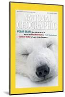 Cover of the December, 2000 National Geographic Magazine-Norbert Rosing-Mounted Photographic Print