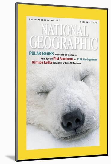 Cover of the December, 2000 National Geographic Magazine-Norbert Rosing-Mounted Photographic Print