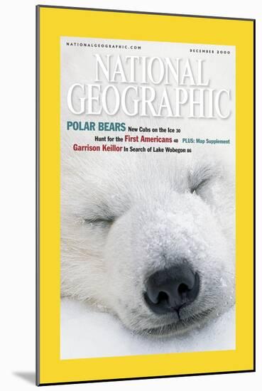 Cover of the December, 2000 National Geographic Magazine-Norbert Rosing-Mounted Photographic Print