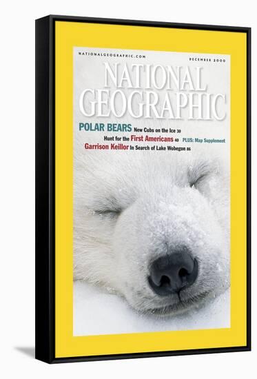 Cover of the December, 2000 National Geographic Magazine-Norbert Rosing-Framed Stretched Canvas