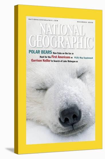 Cover of the December, 2000 National Geographic Magazine-Norbert Rosing-Stretched Canvas