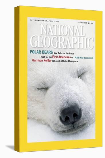 Cover of the December, 2000 National Geographic Magazine-Norbert Rosing-Stretched Canvas