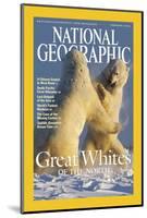 Cover of the February, 2004 National Geographic Magazine-Norbert Rosing-Mounted Photographic Print