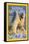 Cover of the February, 2004 National Geographic Magazine-Norbert Rosing-Framed Stretched Canvas