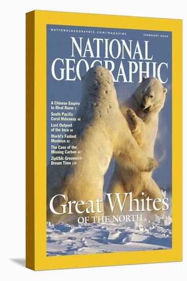 Cover of the February, 2004 National Geographic Magazine-Norbert Rosing-Stretched Canvas