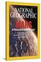 Cover of the January, 2004 National Geographic Magazine-Kees Veenenbos-Stretched Canvas