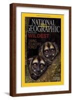 Cover of the January, 2013 National Geographic Magazine-Tim Laman-Framed Photographic Print