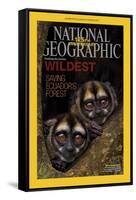 Cover of the January, 2013 National Geographic Magazine-Tim Laman-Framed Stretched Canvas