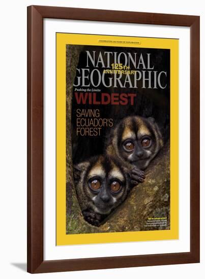 Cover of the January, 2013 National Geographic Magazine-Tim Laman-Framed Photographic Print