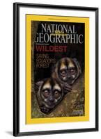 Cover of the January, 2013 National Geographic Magazine-Tim Laman-Framed Photographic Print