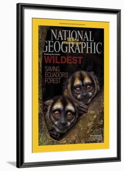 Cover of the January, 2013 National Geographic Magazine-Tim Laman-Framed Photographic Print