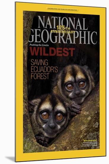 Cover of the January, 2013 National Geographic Magazine-Tim Laman-Mounted Photographic Print