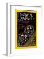 Cover of the January, 2013 National Geographic Magazine-Tim Laman-Framed Photographic Print