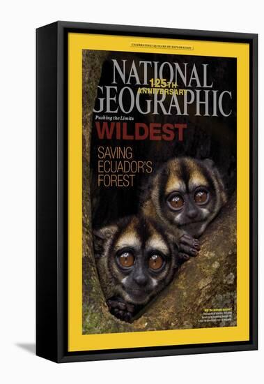 Cover of the January, 2013 National Geographic Magazine-Tim Laman-Framed Stretched Canvas