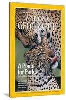 Cover of the July, 1976 National Geographic Magazine-Chris Johns-Stretched Canvas