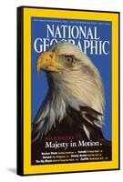 Cover of the July, 2002 National Geographic Magazine-Norbert Rosing-Framed Stretched Canvas