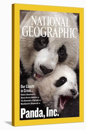 Cover of the July, 2006 National Geographic Magazine-Michael Nichols-Stretched Canvas