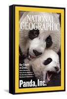 Cover of the July, 2006 National Geographic Magazine-Michael Nichols-Framed Stretched Canvas