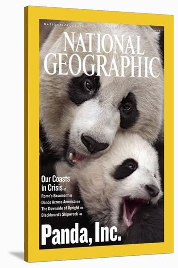 Cover of the July, 2006 National Geographic Magazine-Michael Nichols-Stretched Canvas