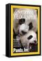 Cover of the July, 2006 National Geographic Magazine-Michael Nichols-Framed Stretched Canvas